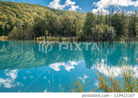 [Biei Town Shirogane: Blue Pond and Water Mirror under the Blue Sky] 119422107