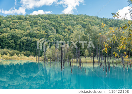 [Biei Town Shirogane: Blue Pond and Water Mirror under the Blue Sky] 119422108