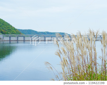 北海道小樽內湖淺裡水壩和蒲葦的壯麗景色 北海道小樽內湖淺裡水壩和蒲葦的壯麗景色 119422199