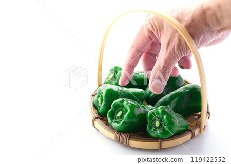 青椒(白底) 青椒(白底) 119422552