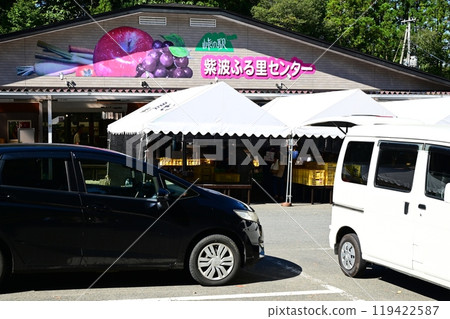 Shiwa的直接產品 119422587