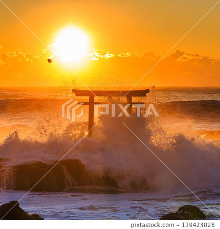 The rough waves of Oarai and the Isozaki Torii 119423028
