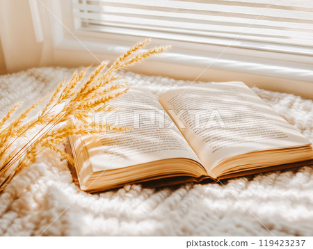 An open book lying on a soft, knitted blanket near a window with golden sunlight streaming in 119423237