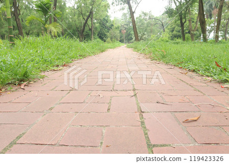 Red brick walkway with green grass 119423326