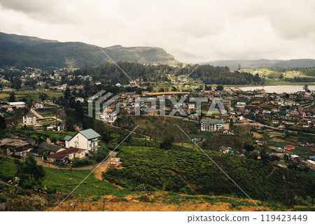 A panoramic view of lush hills and quaint cottages in the misty tea gardens A panoramic view of lush hills and quaint cottages in the misty tea gardens 119423449