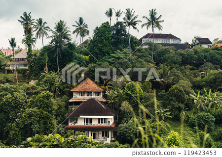 Lush landscape with traditional houses among tall palm trees in the serene tropical setting of Bali 119423453