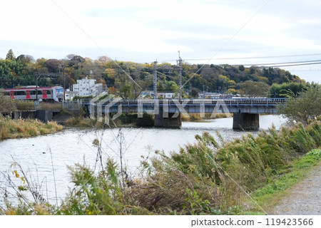 Walking around Sakura 119423566