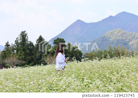 蕎麥花盛開的山,白色和粉紅色的蕎麥花,藍天和白色的蕎麥花相映成趣。 蕎麥花盛開的山,白色和粉紅色的蕎麥花,藍天和白色的蕎麥花相映成趣。 119423745