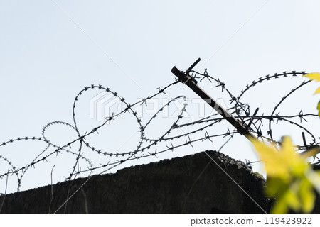 Barbed Wire Against Blue Sky Barbed Wire Against Blue Sky 119423922
