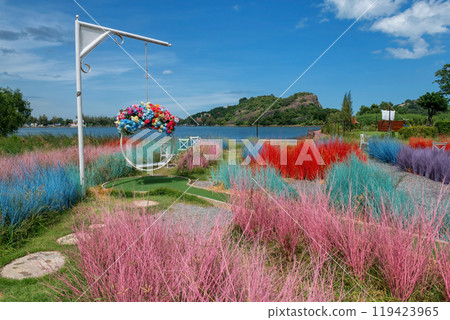 Colorful grass decor in outdoor cafe and restaurant garden 119423965