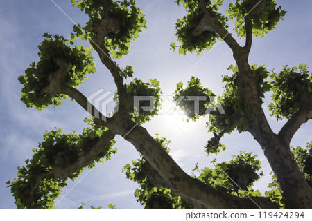 City life in Konstanz, Lake Constance in Germany City life in Konstanz, Lake Constance in Germany 119424294