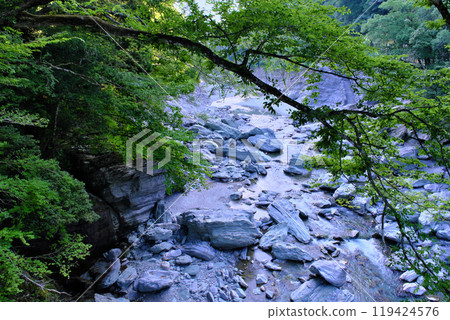 View of the Iya Valley from the Kazurabashi Bridge, Tokushima Prefecture View of the Iya Valley from the Kazurabashi Bridge, Tokushima Prefecture 119424576