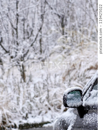 Snow-covered forest, road and car Snow-covered forest, road and car 119425022