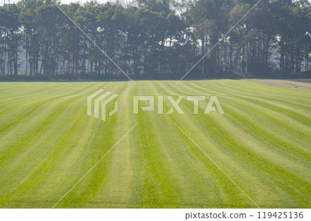 A grass growing field on a sunny day in Chitose, Hokkaido 119425136