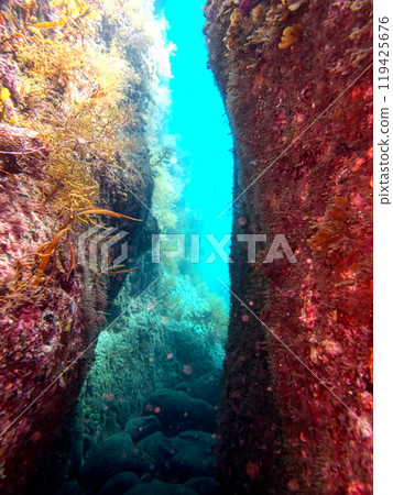 Underwater rock crevice Underwater rock crevice 119425676
