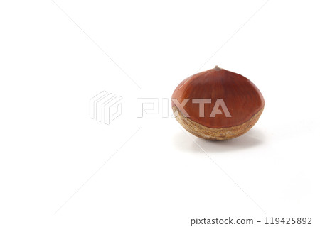 Ripe chestnuts 119425892