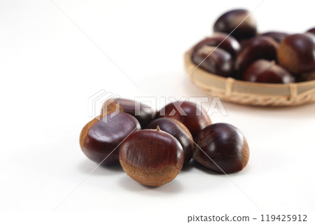 成熟的栗子 成熟的栗子 119425912
