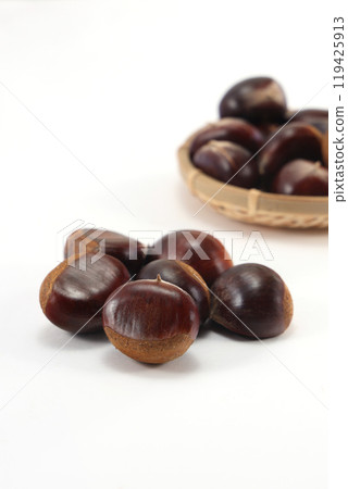 成熟的栗子 119425913