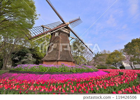 [Aichi Prefecture] Windmill and tulips at Meijo Park, Nagoya City 119426506