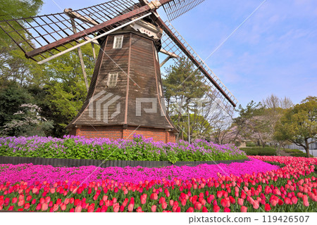 [Aichi Prefecture] Windmill and tulips at Meijo Park, Nagoya City 119426507
