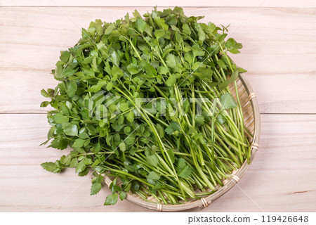 芹菜葉放在漏杓上 119426648