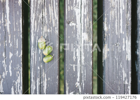 Acoria 3 Acoria 3 119427176