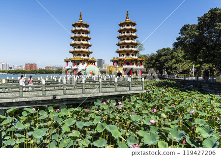 View of the lotus in bloom at the Dragon and Tiger Pagoda in Lotus Pond, Kaohsiung, Taiwan. 119427206