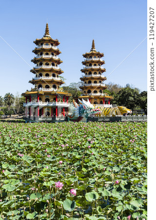 View of the lotus in bloom at the Dragon and Tiger Pagoda in Lotus Pond, Kaohsiung, Taiwan. 119427207