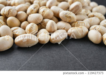 Setsubashi 119427373