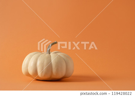 Autumn white pumpkin on orange background. Seasonal harvest and healthy organic food. Thanksgiving Day. Side view. Close up. Copy space. Autumn white pumpkin on orange background. Seasonal harvest and healthy organic food. Thanksgiving Day. Side view. Close up. Copy space. 119428022