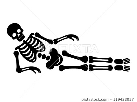 Silhouette illustration of a skeleton lying down in a sloppy pose, cut out on a transparent background Silhouette illustration of a skeleton lying down in a sloppy pose, cut out on a transparent background 119428037