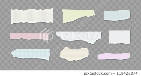 Set of torn notebook paper pieces 119428874