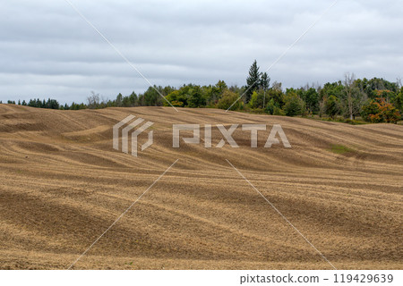 Stripes on soil of the agricultural field after the field was plowed by plows. 119429639