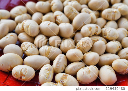 Setsubashi 119430480