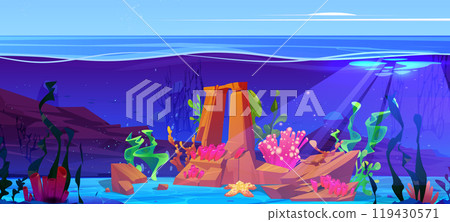 Underwater landscape with starfish and seaweeds 119430571