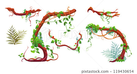 Set of liana branches with green leaves, flowers Set of liana branches with green leaves, flowers 119430654