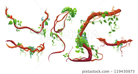 Liana branch with green leaf and flowers. 119430973