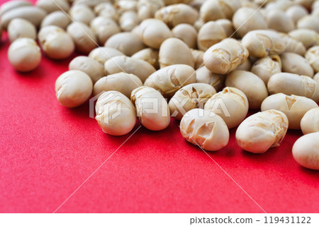 節分豆 119431122