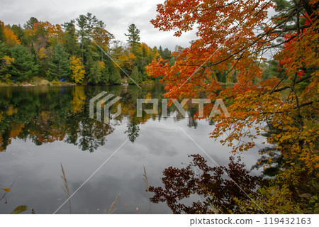 Landscape with red maple on the Muskoka River, Canada. Landscape with red maple on the Muskoka River, Canada. 119432163