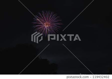 Fireworks in the summer night sky at the Nakanocho Fireworks Festival in Hamamatsu City, seen from the Tenryu River riverbed (Shizuoka Prefecture) 119432402