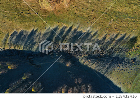 Aerial top down view of autumn trees shadow on green meadow Aerial top down view of autumn trees shadow on green meadow 119432410