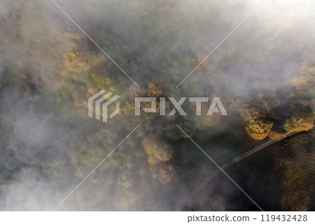 Aerial top down view of autumn misty forest canopy Aerial top down view of autumn misty forest canopy 119432428
