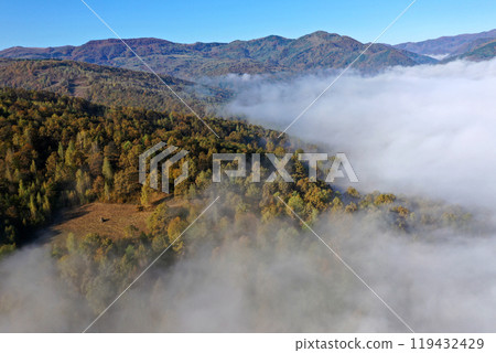 Aerial top down view of autumn misty forest canopy Aerial top down view of autumn misty forest canopy 119432429