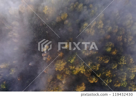 Aerial top down view of autumn misty forest canopy Aerial top down view of autumn misty forest canopy 119432430