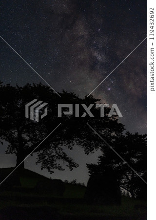 [莊內風景]鳥海森林與星空 119432692