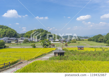 The approach to Tachibana-dera Temple: Rice is ripe and red spider lilies are in full bloom (Asuka Village, Nara Prefecture) The approach to Tachibana-dera Temple: Rice is ripe and red spider lilies are in full bloom (Asuka Village, Nara Prefecture) 119432867