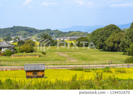 The approach to Tachibana-dera Temple: Rice is ripe and red spider lilies are in full bloom (Asuka Village, Nara Prefecture) The approach to Tachibana-dera Temple: Rice is ripe and red spider lilies are in full bloom (Asuka Village, Nara Prefecture) 119432870