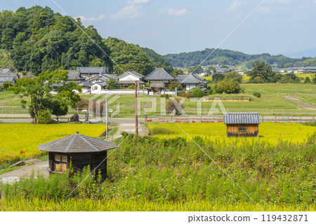 The approach to Tachibana-dera Temple: Rice is ripe and red spider lilies are in full bloom (Asuka Village, Nara Prefecture) The approach to Tachibana-dera Temple: Rice is ripe and red spider lilies are in full bloom (Asuka Village, Nara Prefecture) 119432871