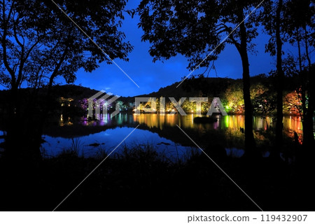 觀沼森林公園 紅葉彩燈 119432907