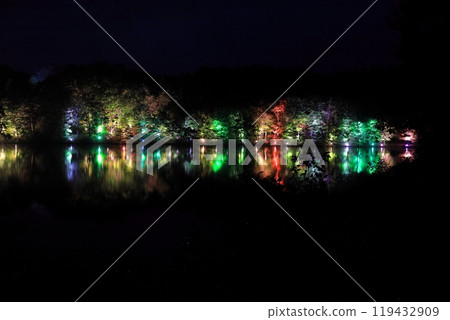 觀沼森林公園 紅葉彩燈 119432909